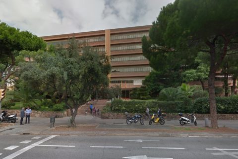 Qui ens hauria de dir que tornaríem en ple estiu? Veniu a la platja?